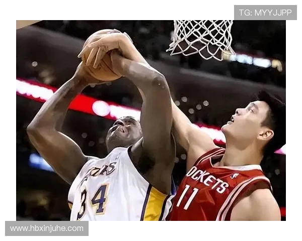 鲨鱼为何对姚明心生畏惧揭秘背后的科学与传说