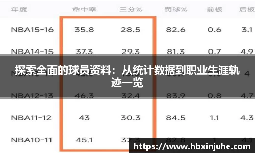 探索全面的球员资料：从统计数据到职业生涯轨迹一览
